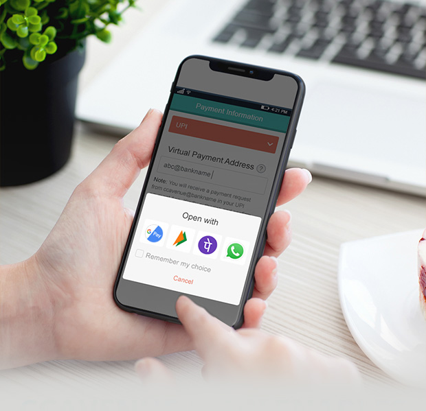Mobile application customization services